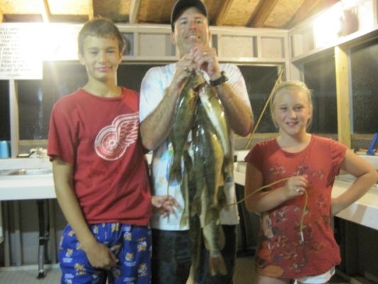 normal_Cellantani1-e