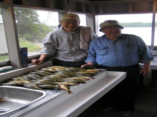 normal_Dan and Dennis perch-edited