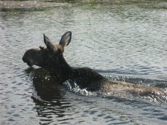 normal_Dauner Fishing Trip - 2008 023