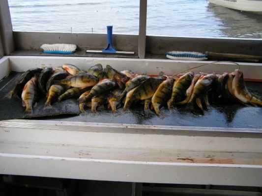 normal_Hinshaw perch10-edit
