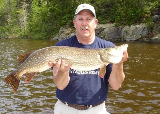 normal_Tom Adler 38.5 northern